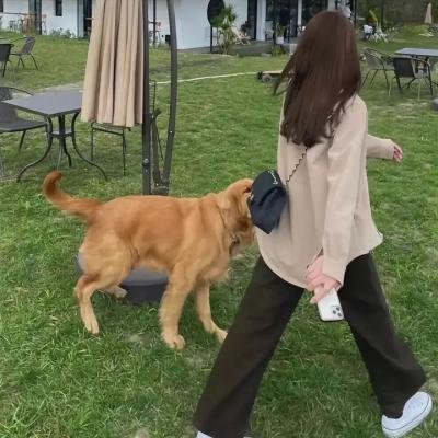 温柔怪人